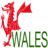 cyberwales.net-logo